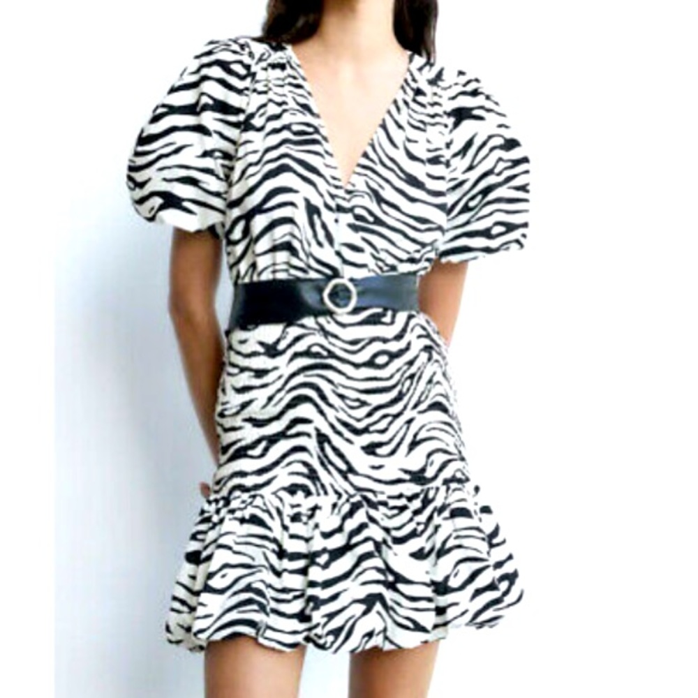 Zara zebra print dress